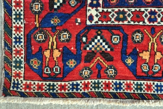 Fine Afshar rug with beautiful colors and graphic border from early 1900s, in good original condition - 4'5 x 6'1 ft. - 125 x 185 cm.       