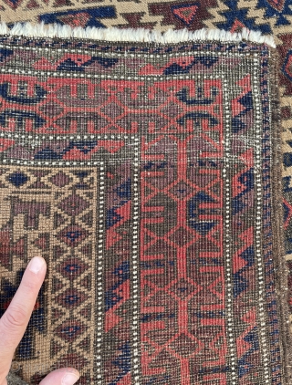 Baluch rug with Camel field, well-drawn main border with positive/negative effect and I particularly like the floating effect of the border framing the field - good condition, no repairs - 2'8 x  ...