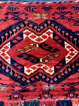 Lush Ersari Turkmen Trapping with corroded silk highlights, silky smooth wool, and full pile.                   