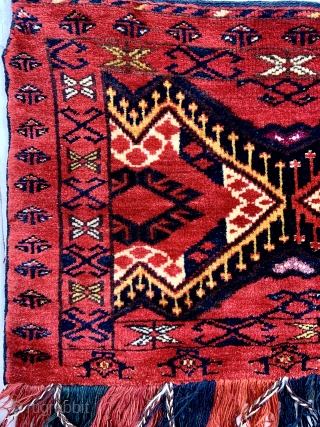 Lush Ersari Turkmen Trapping with corroded silk highlights, silky smooth wool, and full pile.                   