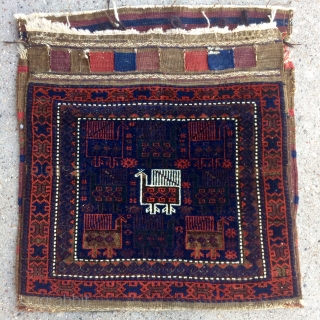 Timuri Bird Baluch Bag complete with kilim back - 24" x 24" - 61 x 61 cm and about 24" x 51" - 61 x 129 cm with kilim. no repairs, Great  ...