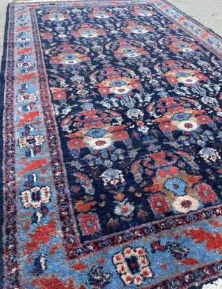 Small Fine Senneh Rug with Zil-e-Sultan design - 3'0 x 5'0 - 91 x 151 cm.                 