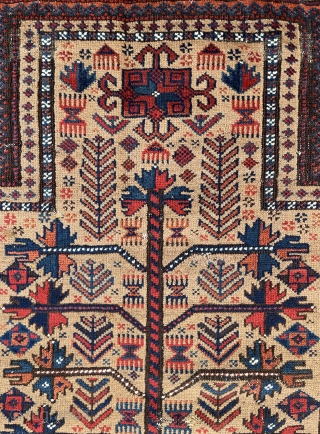 Please take some time and look at the details, the use of colors and proportional drawing the weaver of this beautiful Baluch Prayer Rug has achieved. - 19th century.  -   ...