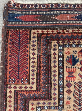 Please take some time and look at the details, the use of colors and proportional drawing the weaver of this beautiful Baluch Prayer Rug has achieved. - 19th century.  -   ...