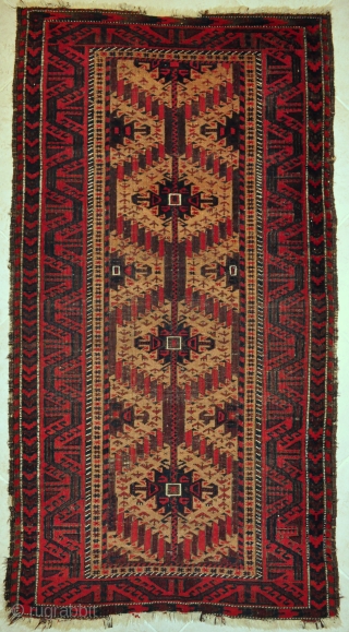 Baluch rug with camel field, small scattered animal and bird figures, classical border with sharp details - 2'11 x 5'6 ft. - 89 x 167 cm.       