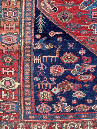Antique Bidjar Rug - wool foundation - about 4’10 x 6’10 - email yorukrugs@gmail.com for details                 