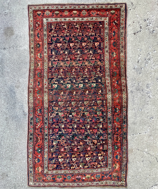Late 19th century Antique Persian Bidjar Rug with dragon patterns in the field , nice specious border , great colors , all wool foundation and good condition - about 4’4 x 7’10  ...