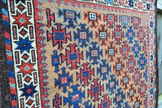 Colorful Baluch Rug with real camel field - 2'11 x 5'2 / 89 x 156 cm.                 