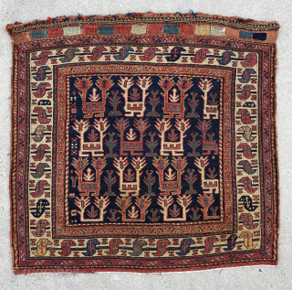 Shahsavan Sumakh Bagface with dragon border and beautiful colors including a nice aubergine - email yorukrugs@gmail.com for price               