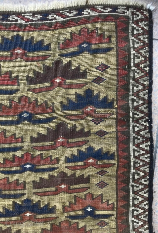 Beautiful and early Baluch rug,  Rare yellow field and white border in condition .
Great pattern.
Some old repairs on as on photos.
Size : 76x68cm         