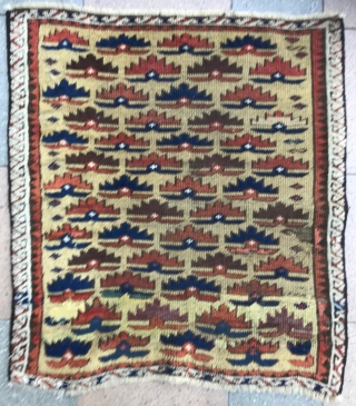 Beautiful and early Baluch rug,  Rare yellow field and white border in condition .
Great pattern.
Some old repairs on as on photos.
Size : 76x68cm         