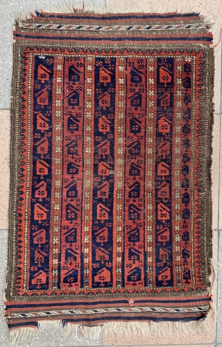 So cool and old Baluch poshti , size : 80x53cm ,  Price : 400 euro .                