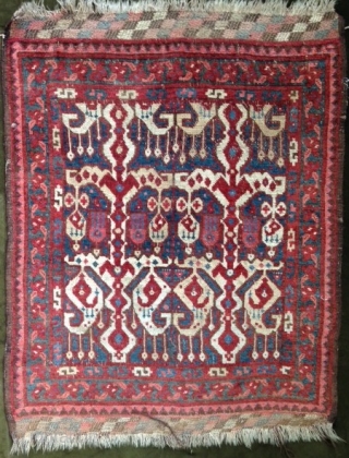 Pretty small Ersari Rug so called Ikat design ! it is just a Turkmen Tribal Art. 
Size : 104x83
Circa : End 19Th.           