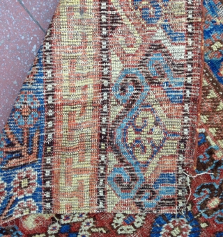 Beautiful type of Rare Kashkar rug ( fragment )
Warp : Cotton , Weft : wool .
Size : 177x150cm
Circa : Second half of 18th.          