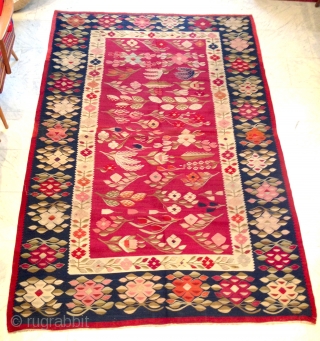 Flatweave, Kilim
Balkan
Olteinia
245 x 165 cm                            