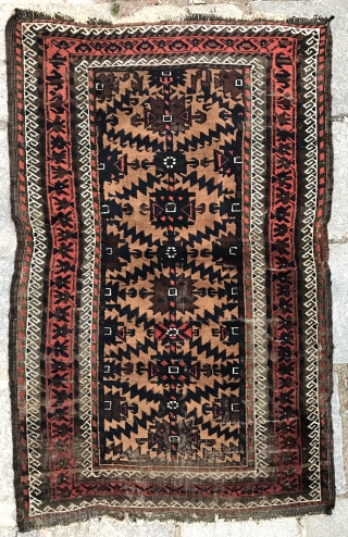 BAluch poshti
130 x 84 cm                            