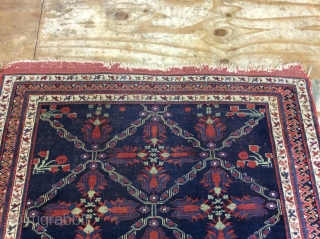 Afshar rug 155x127 SOLD SOLD                            