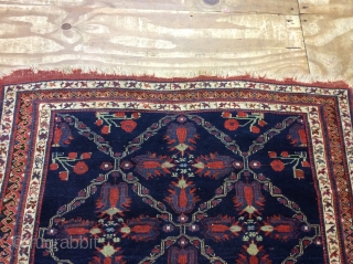 Afshar rug 155x127 SOLD SOLD                            
