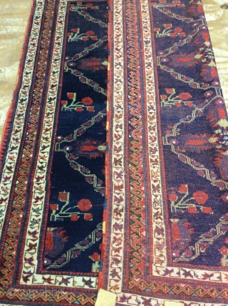 Afshar rug 155x127 SOLD SOLD                            