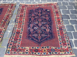 Afshar pair size 170x130 cm Circa 1910 
                         