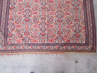 Old Senneh kilim.
vegetable dyes 120 years old.
wool on wool very fine size 200x137.                    