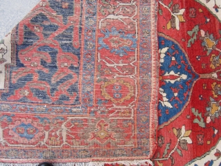 Malayer rug Ivory.
vegetable dyes 120 years old full pile.
repair at the end of a rug but very good repair.
size 183x130             