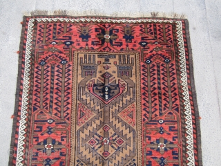 Old Baluch 19th.
in good condition size 177x95                          