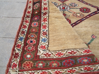 kurdish rug.19th natural colors with camel wool. is a small repair in the end size 230x127                  ...