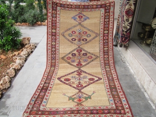 kurdish rug.19th natural colors with camel wool. is a small repair in the end size 230x127                  ...