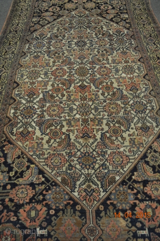 Persian, Seneh, 
Age: the beginning of the 20 century,
Condition: considering its age very good, no any damage
Size:510 cm x 208 cm
            