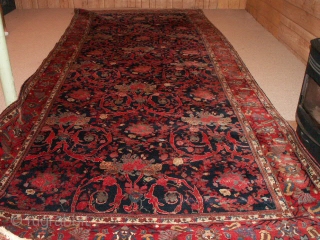 Mustofi Bijar Bidjar Gallery Rug has 5 sq inch moth damage (3rd picture). It's 16 Feet 7 Inches by 7 Feet in size.          