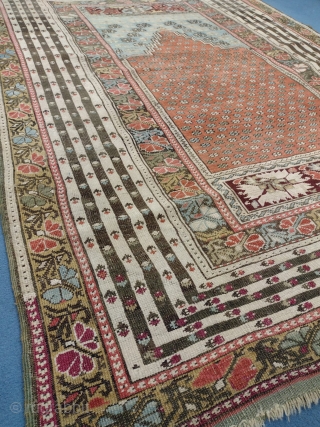 This is an antique Ghiordes Rug woven circa 19th century and it measures 175 x 130 in CM.It has a beautiful design with nice color pallette. Generally in a good condition.  