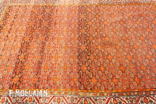 Malayer Antique Persian Rug, 1900-1920
194 × 135 cm (6' 4" × 4' 5")                    