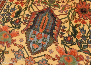 Lovely Antique Bakhtiari Carpet, 1900-1920

281 × 168 cm (9' 2" × 5' 6")
                    