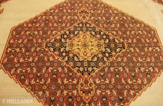 Super Lovely Antique Persian Tabriz Hadji Djalili Carpet, ca. 1880
420 × 277 cm (13' 9" × 9' 1")               