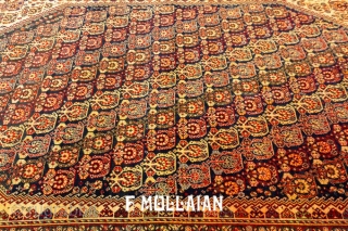 Beautiful Moharramat Design hand knotted Kashkuli Antique Rug, 19th Century

211 × 135 cm (6' 11" × 4' 5")               