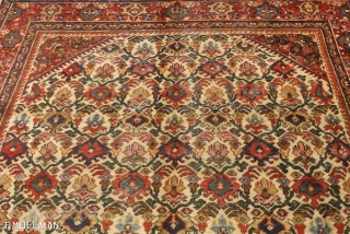 Beautiful Antique Persian Mahal Carpet, ca. 1900
280 × 200 cm (9' 2" × 6' 6")

Price for Extra EU citizens/UE Companies: €811.48            