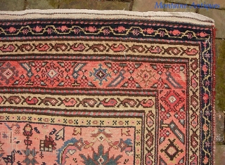 Malayer 4 ft 5 x 13 ft 6 inches. Obviously rare and unusual size. possibly 19th century. Pretty nice condition. Low but no foundation showing. Note red abrash.
$40 UPS to Lower 48. 