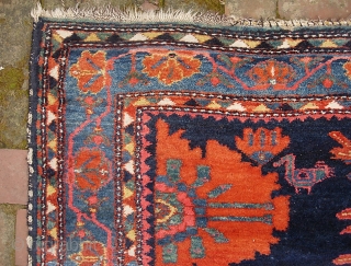 Tribal Kharaghan--  4 ft 9 inches x 9 ft 3 inches. This rug was sold to me as Bahktiari-Luri. But I don't think that is correct. Dyes and design are dead  ...