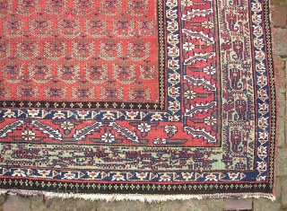 Malayer. 6 ft by 10 ft 2 inches. Rare gallery size piece. circa 1900. Floppy weave. Cotton foundation. All good dyes with really nice green in the border. Pile is low but  ...