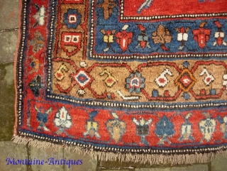 Karabagh-- 5.5 x 8 ft 9 in. Rare size main Carpet. Some condition issues but generally plush. Please call for condition Report. $30 UPS to lower 48. Check out  fresh posts  ...