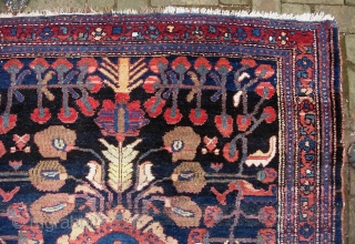 Kolyai/Kurd-- 4.9 x 6 ft 6 in. Plush single weft with s mix of cotton and wool foundation. Please call for condition Report. $25 UPS to lower 48. Check out  fresh  ...