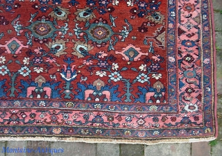 West Persian Village-- 4 ft 6  x 6 ft 6 inches. Sure looks Kurdish with Bidjar design, colors, abrashes. Looking at the weave I think it might be from Mehriban. Original  ...