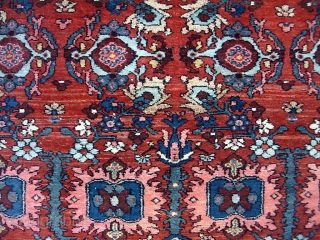 West Persian Village-- 4 ft 6  x 6 ft 6 inches. Sure looks Kurdish with Bidjar design, colors, abrashes. Looking at the weave I think it might be from Mehriban. Original  ...