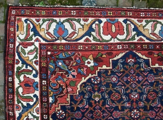 Bahktiari-- 5 ft 1  x 6 ft 10 inches. Lively and decorative with ivory border and lots of different colors.  Looks like there is foundation showing in the yellow in  ...