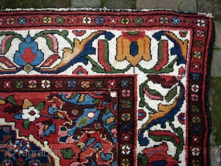 Bahktiari-- 5 ft 1  x 6 ft 10 inches. Lively and decorative with ivory border and lots of different colors.  Looks like there is foundation showing in the yellow in  ...