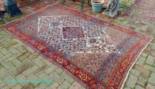 Bidjar c. 1900-- approx 6 x 9-- Wool foundation. Rare White field w/ beautiful blues and abrashes. Amazingly decorative old thing and no apologies for condition.  Please see all photos. us  ...