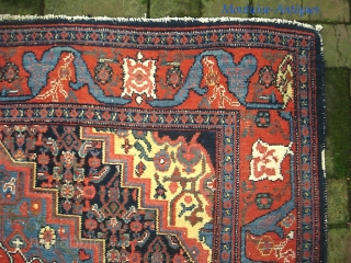 Senneh-- 4 ft 7 x 6 ft 7 in. Knockout colors. Typical fine knotting. Artistic and unique design. Appears to have some sort of scripting in the medallion. Maybe family signature. Pile  ...