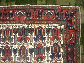 Afshar-- 5 ft 2 x 7 ft 3 in. Larger piece with Interesting Afshar motifs and white field. Low but even with foundation dots mainly center. Innocuous because of white field. $25  ...