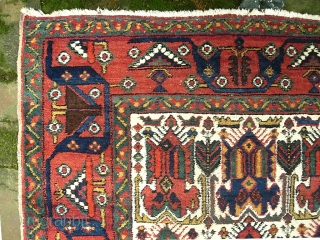 Afshar-- 5 ft 2 x 7 ft 3 in. Larger piece with Interesting Afshar motifs and white field. Low but even with foundation dots mainly center. Innocuous because of white field. $25  ...